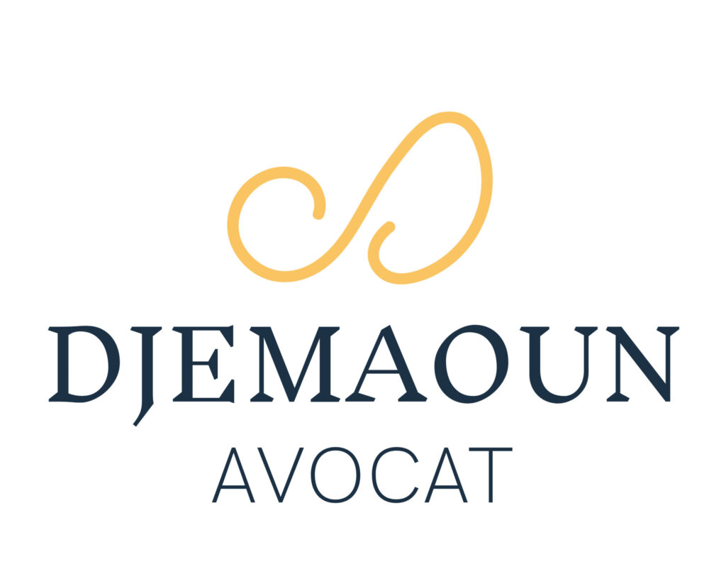 Stage – droits et libertés fondamentaux (droit public ; droits des étrangers et d&rsquo;asile)